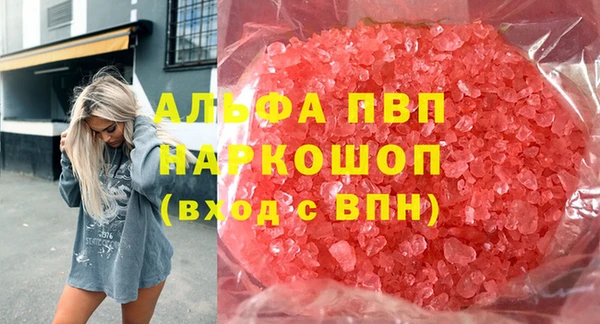 индика Богородицк