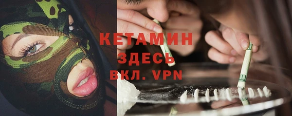 индика Богородицк