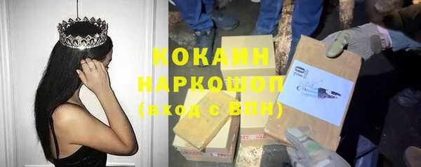 индика Богородицк
