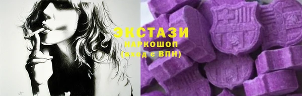 индика Богородицк