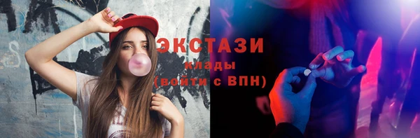 индика Богородицк