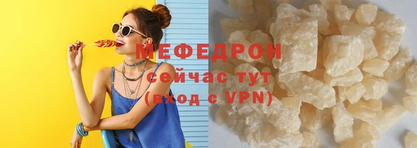 индика Богородицк