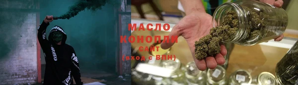 индика Богородицк