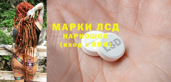 индика Богородицк