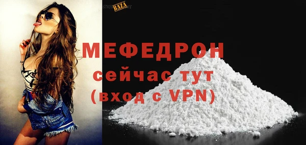индика Богородицк