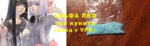 стафф Богородск