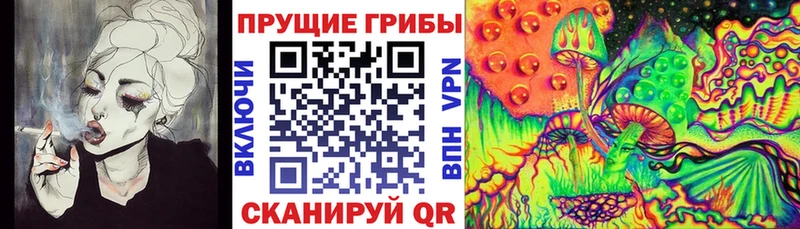 Псилоцибиновые грибы мицелий  что такое наркотик  darknet официальный сайт  Десногорск 